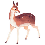 Deer min