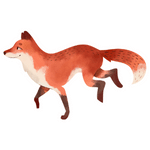 Fox min