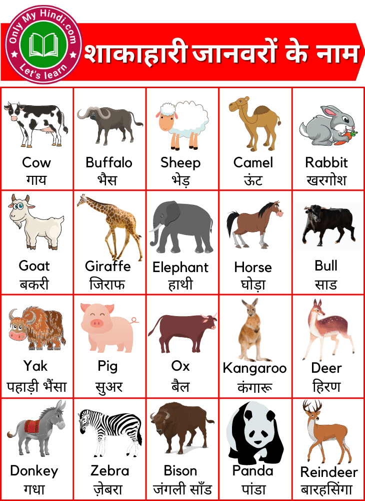 herbivorous animals name in hindi, शाकाहारी जानवरों के नाम