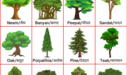 Trees-Name-in-Hindi-पेड़ों-के-नाम
