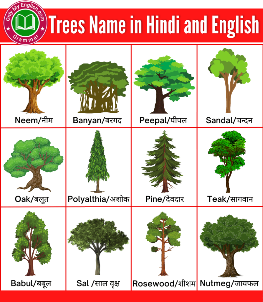 Trees Name in Hindi पेड़ों के नाम