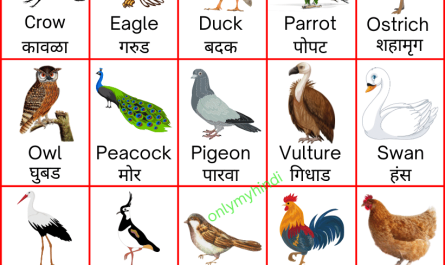 birds name in marathi