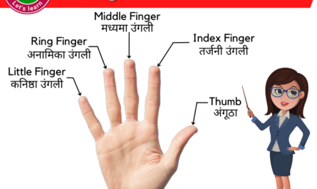 fingers-name-in-hindi-उंगलियों-के-नाम
