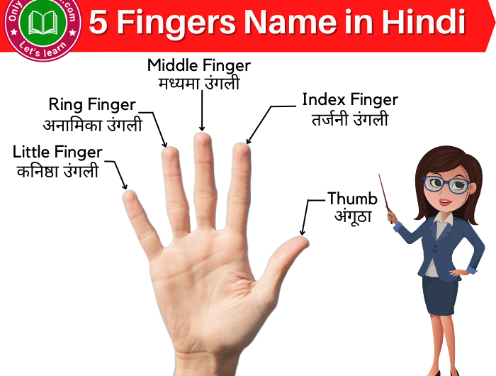 5 Fingers Name in Hindi and English | उंगलियों के नाम हिंदी में अंग्रेजी में