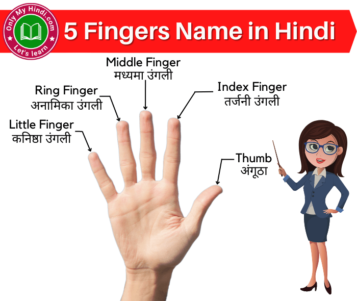 fingers name in hindi उंगलियों के नाम