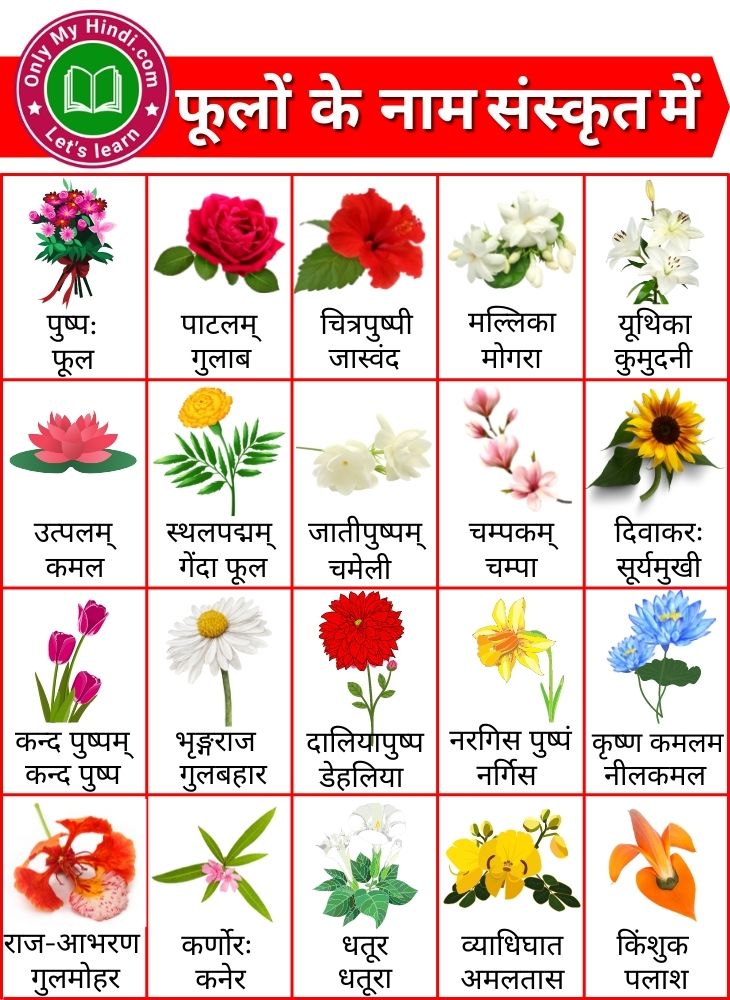 flowers name in sanskrit and hindi