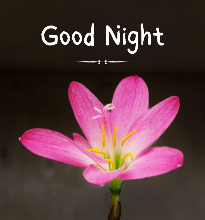 good night with love images