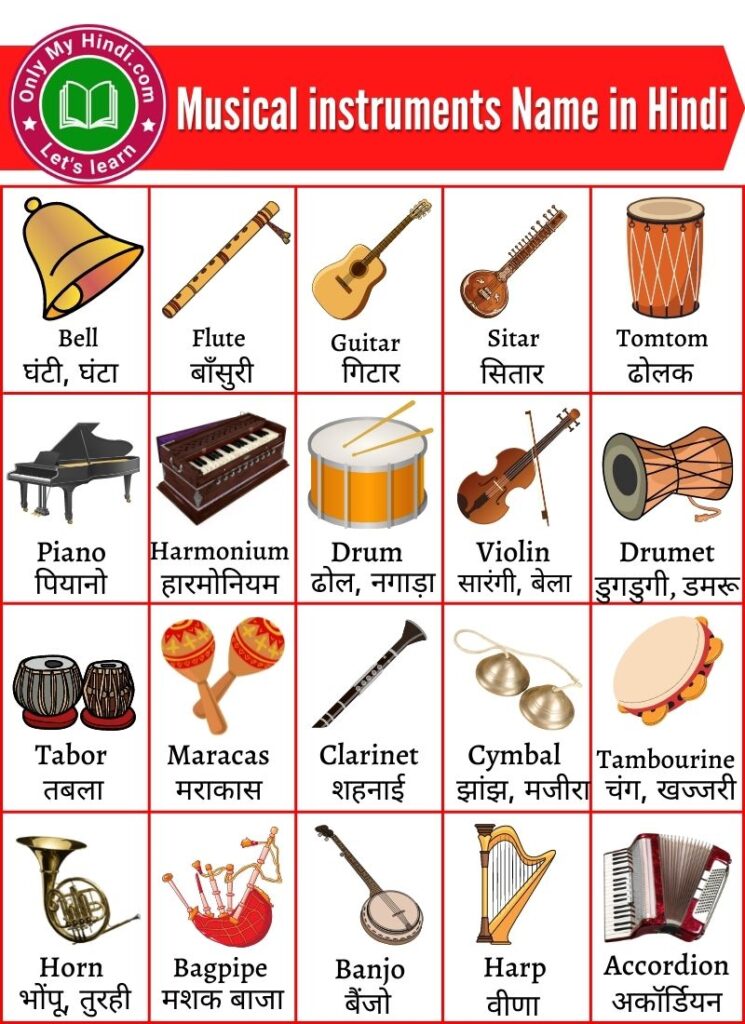 essay about musical instruments in hindi