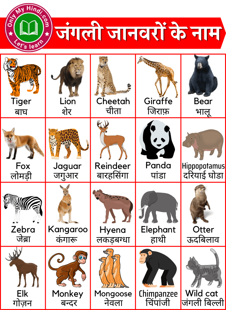 wild animals name in hindi english जंगली जानवरों के नाम