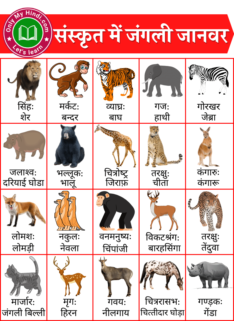 30+ Animals Name in Sanskrit | पशुओं के नाम संस्कृत में »