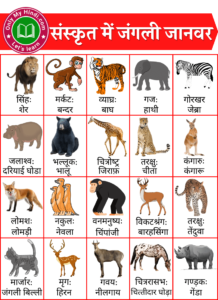 विभिन्न पशुओं के नाम संस्कृत में (Animals Name in Sanskrit) » Onlymyhindi